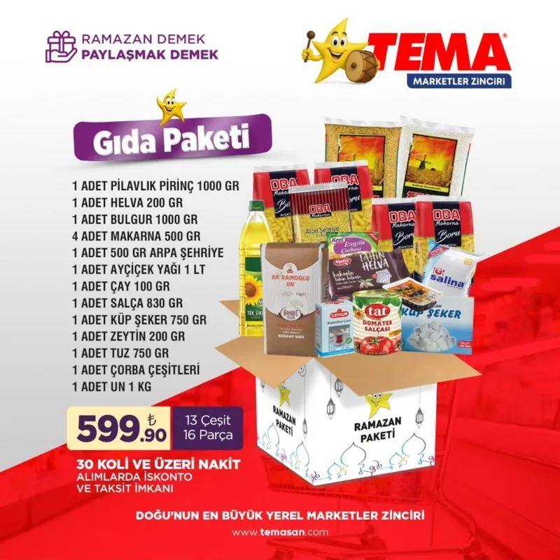 Tema Broşür Kapak
