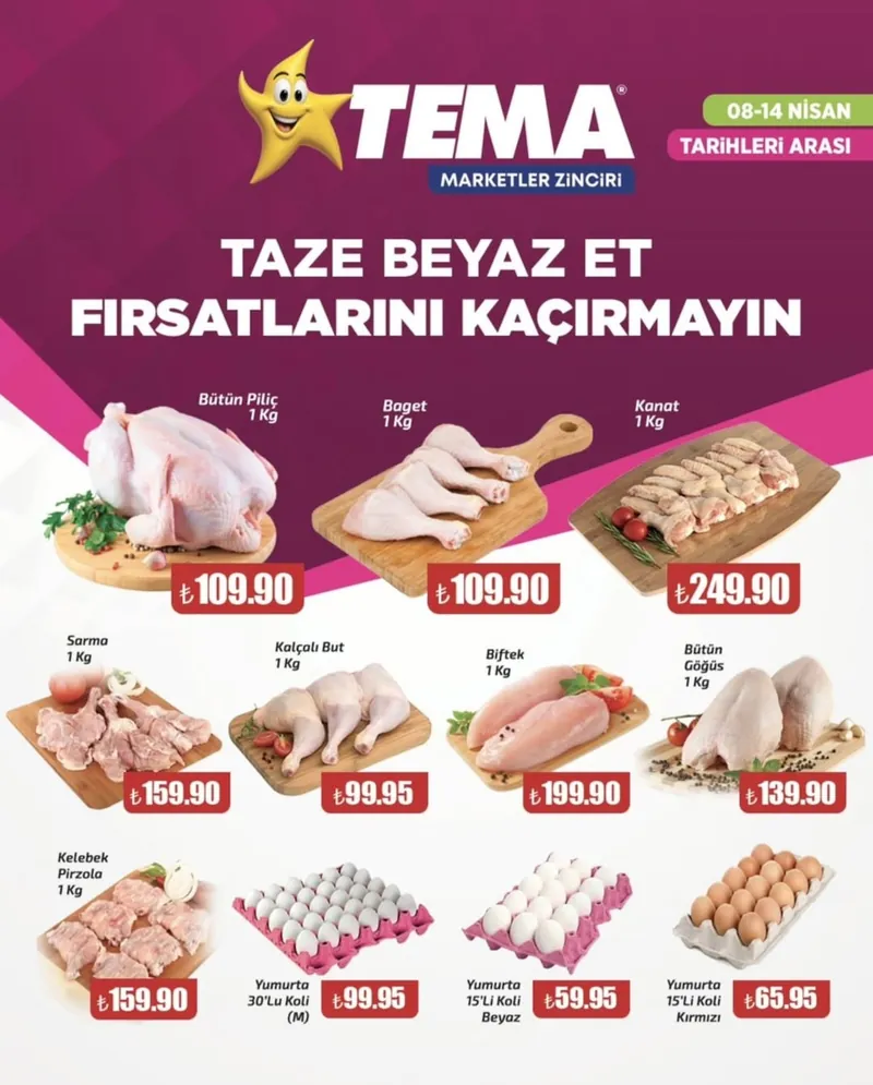 Tema Broşür Kapak