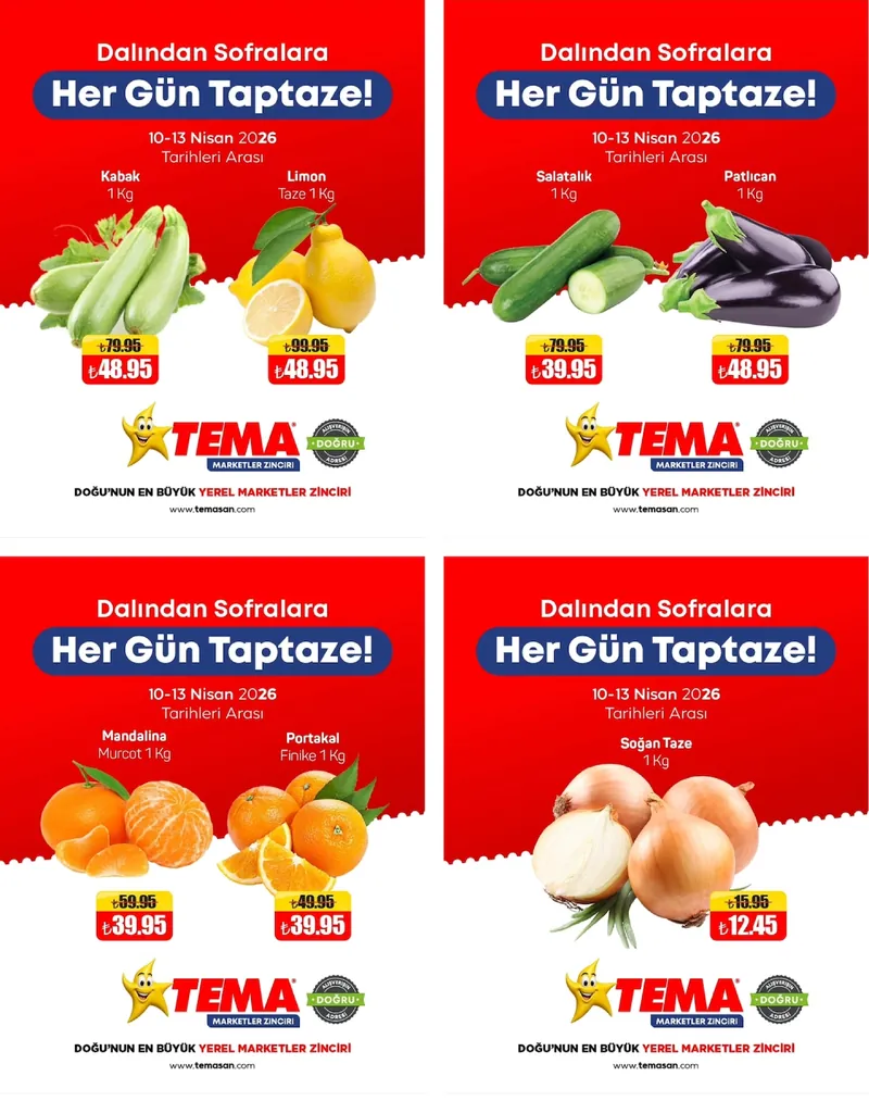 Tema Broşür Kapak