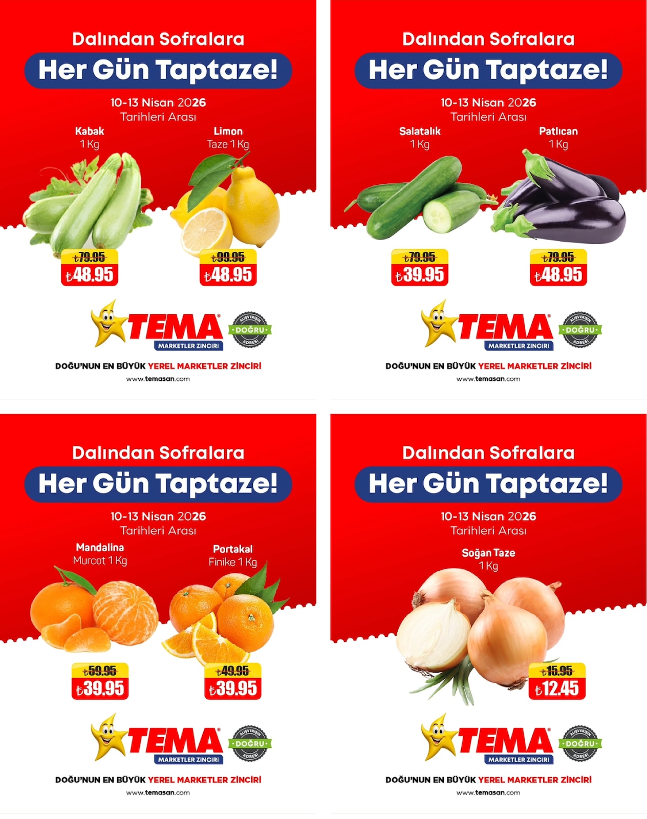 Tema Market 10 Nisan 2026 Aktüel Kataloğu broşürü