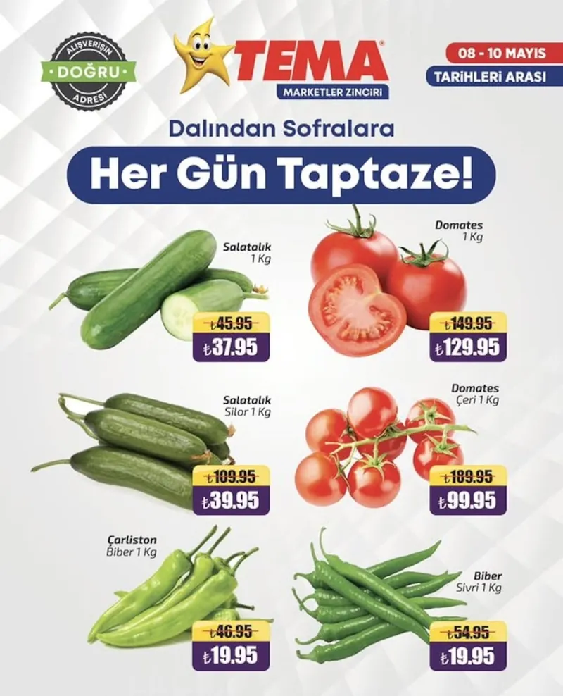 Tema Broşür Kapak