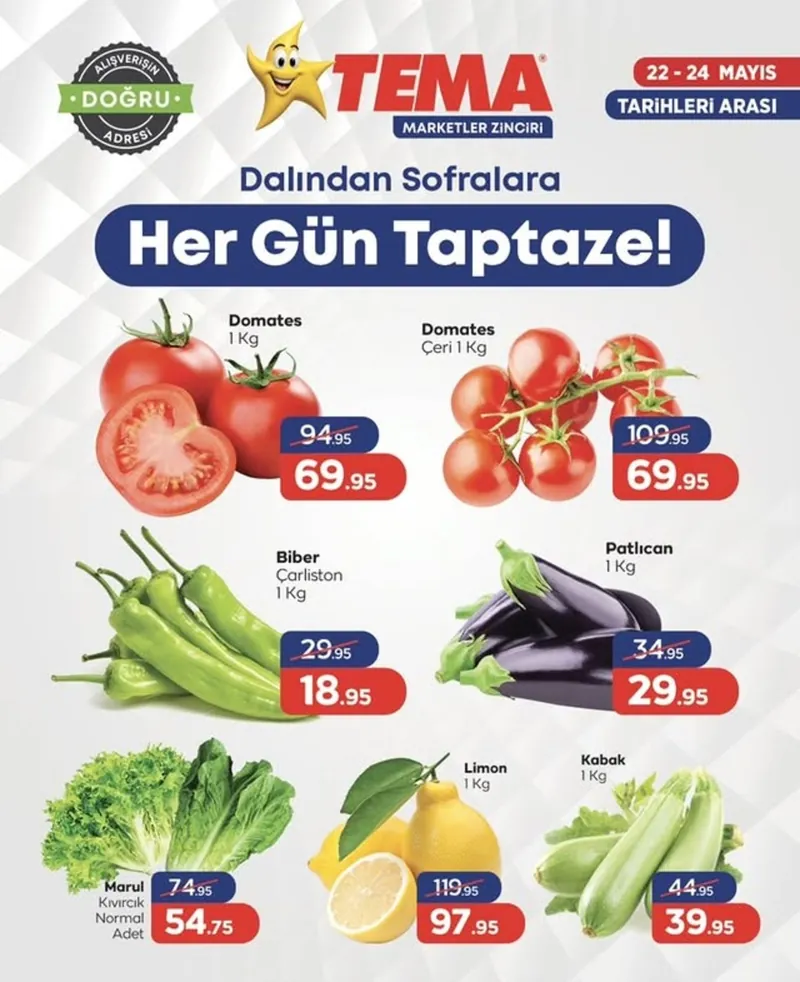 Tema Broşür Kapak