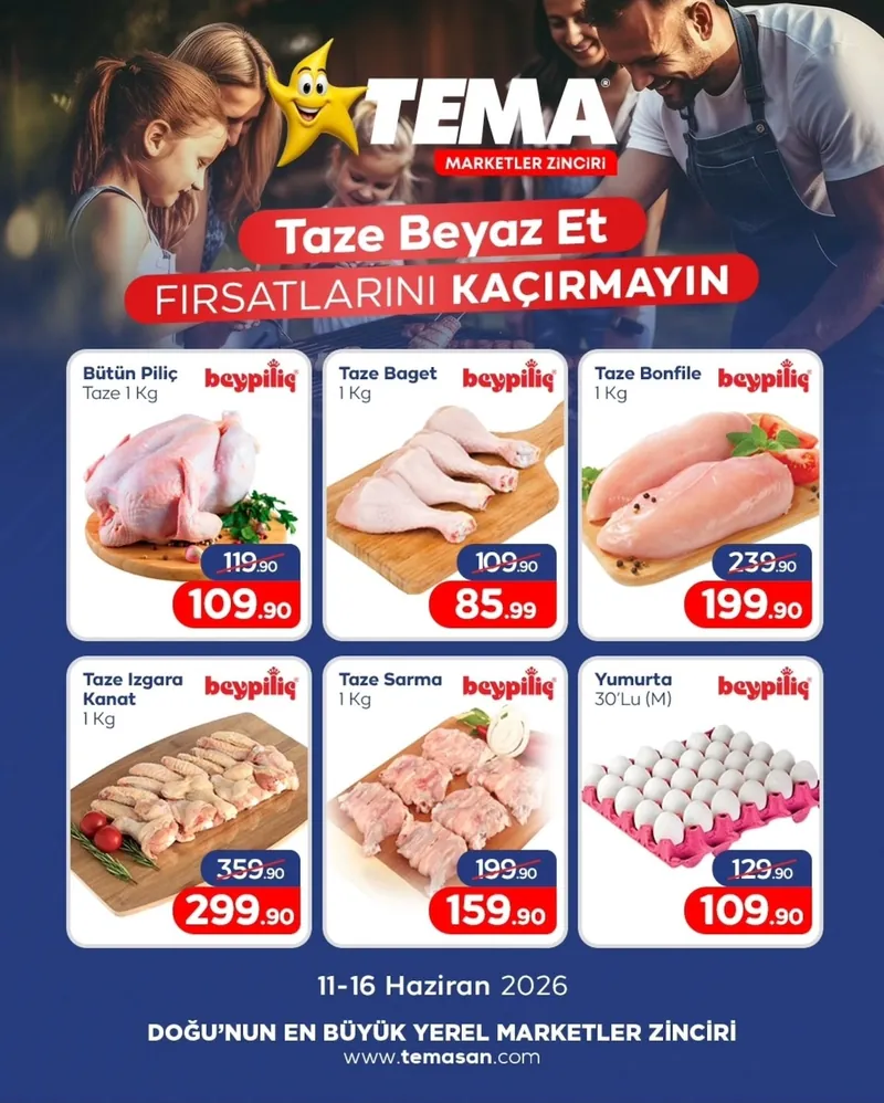 Tema Broşür Kapak