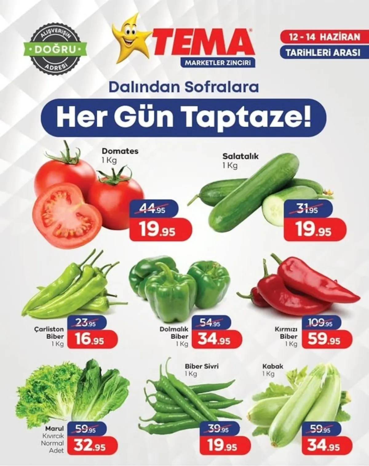 Tema Tema Market 12 Haziran 2026 Aktüel Kataloğu sayfa 1: Marul Kıvırcık Normal Adet, Dolmalık Biber 1 Kg