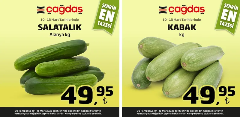 Çağdaş Broşür Kapak