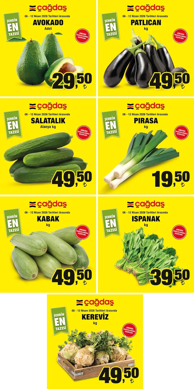 Çağdaş Broşür Kapak