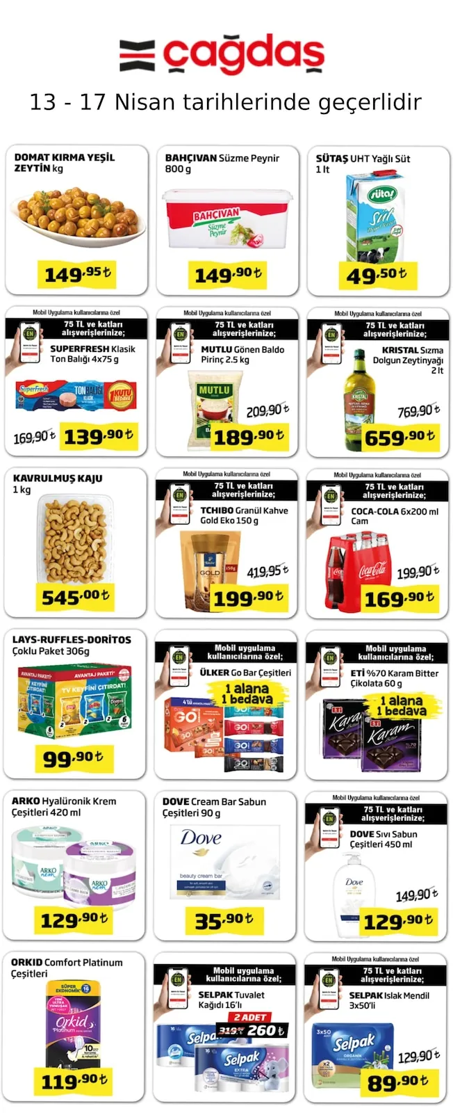 Çağdaş Broşür Kapak