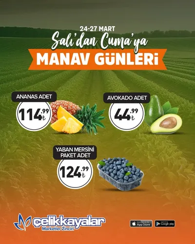 Çelikkayalar 24 Mart 2026 Aktüel Kataloğu