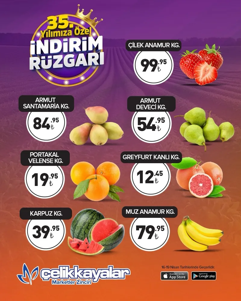 Çelikkayalar Broşür Kapak