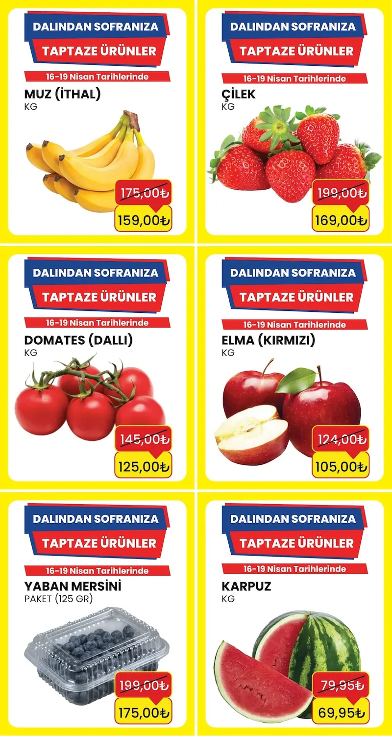 Özhan Broşür Kapak