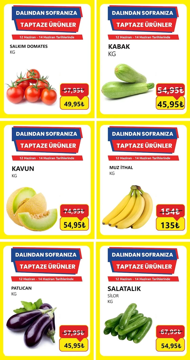Özhan Broşür Kapak